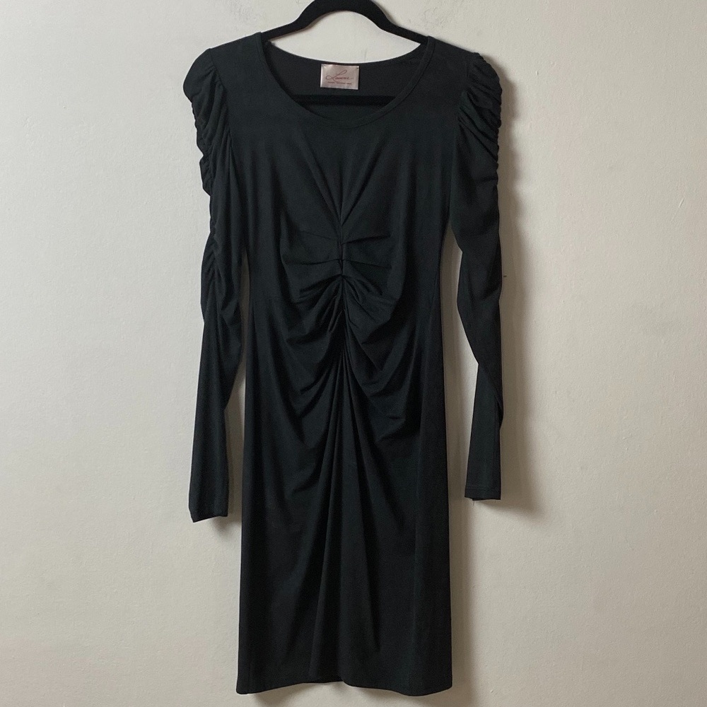 Laurence Fitted Gathered Dress